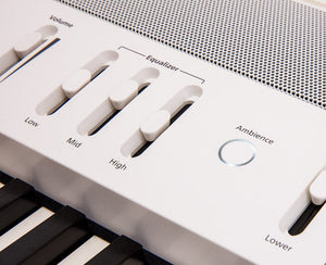Roland FP90X White Digital Piano Home Package