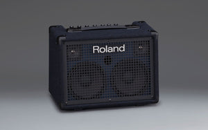 Roland KC220 30w Stereo Battery Powered Keyboard Amplifier