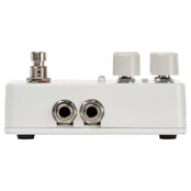 Electro Harmonix Canyon Delay and Looper