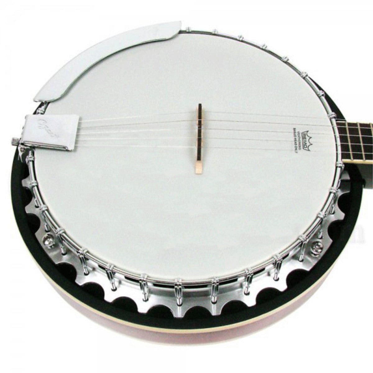 Ozark 2104G 5 String Banjo inc Gig Bag