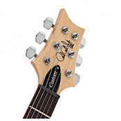PRS SE CUSTOM 24-08 Eriza Verde Electric Guitar