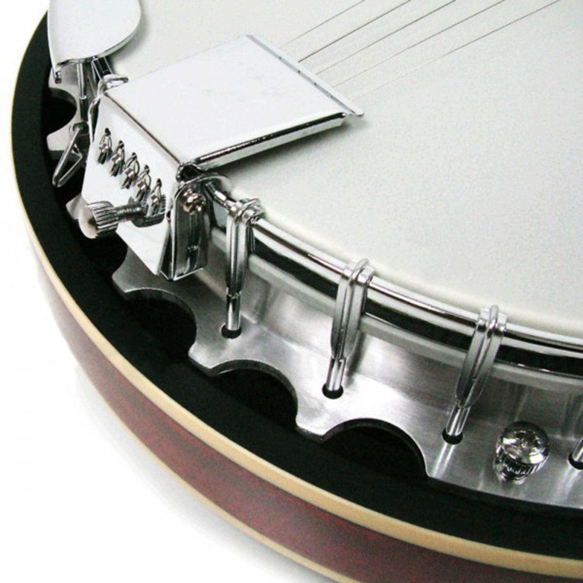 Ozark 2104G 5 String Banjo inc Gig Bag