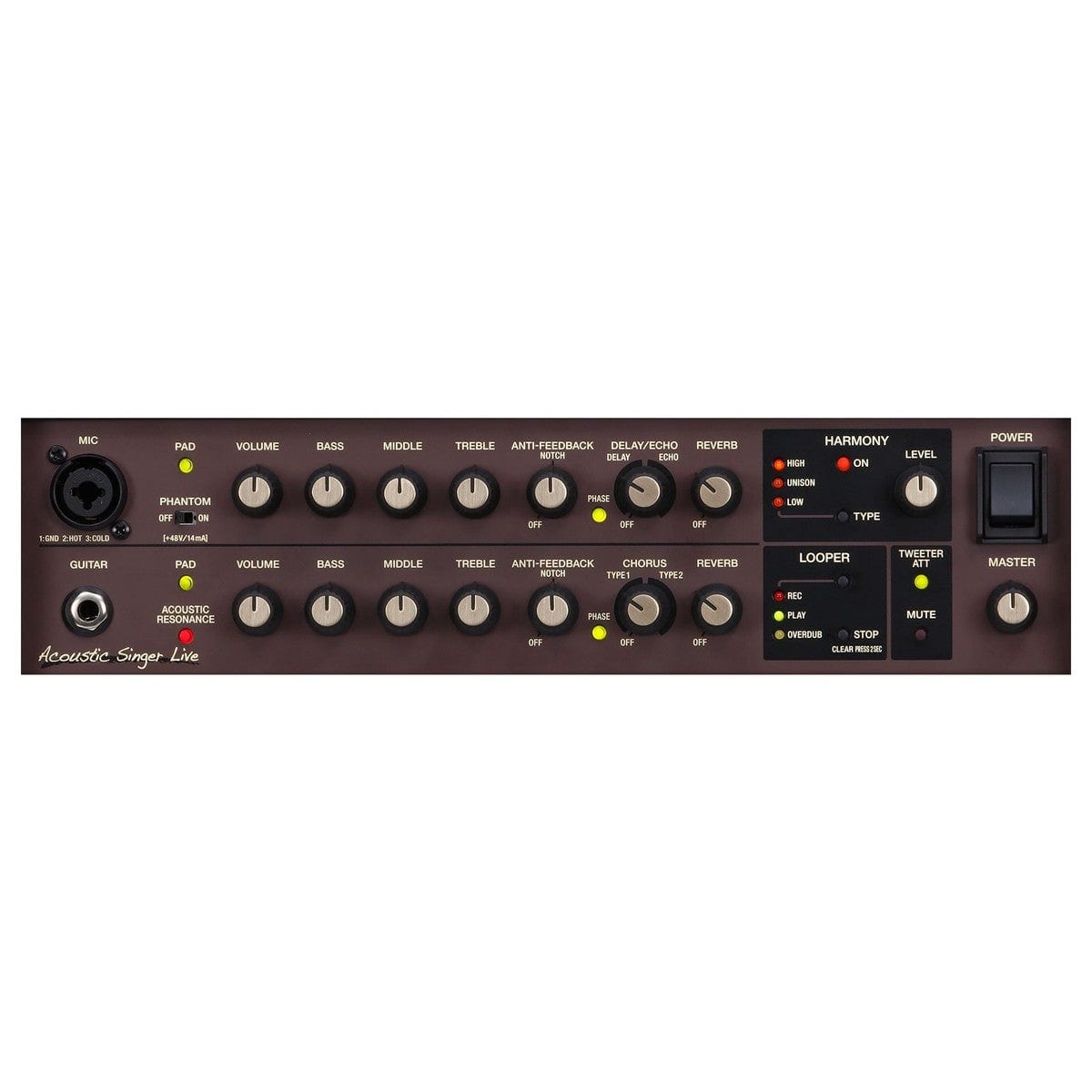 Boss ACS-LIVE 60w Bi-amped Professional Acoustic Stage Amplifier