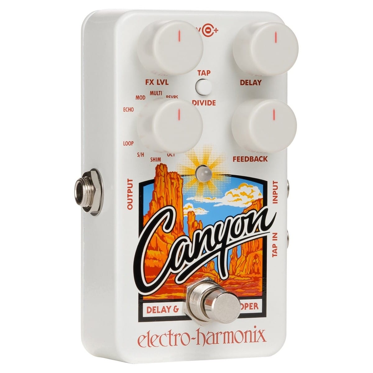 Electro Harmonix Canyon Delay and Looper